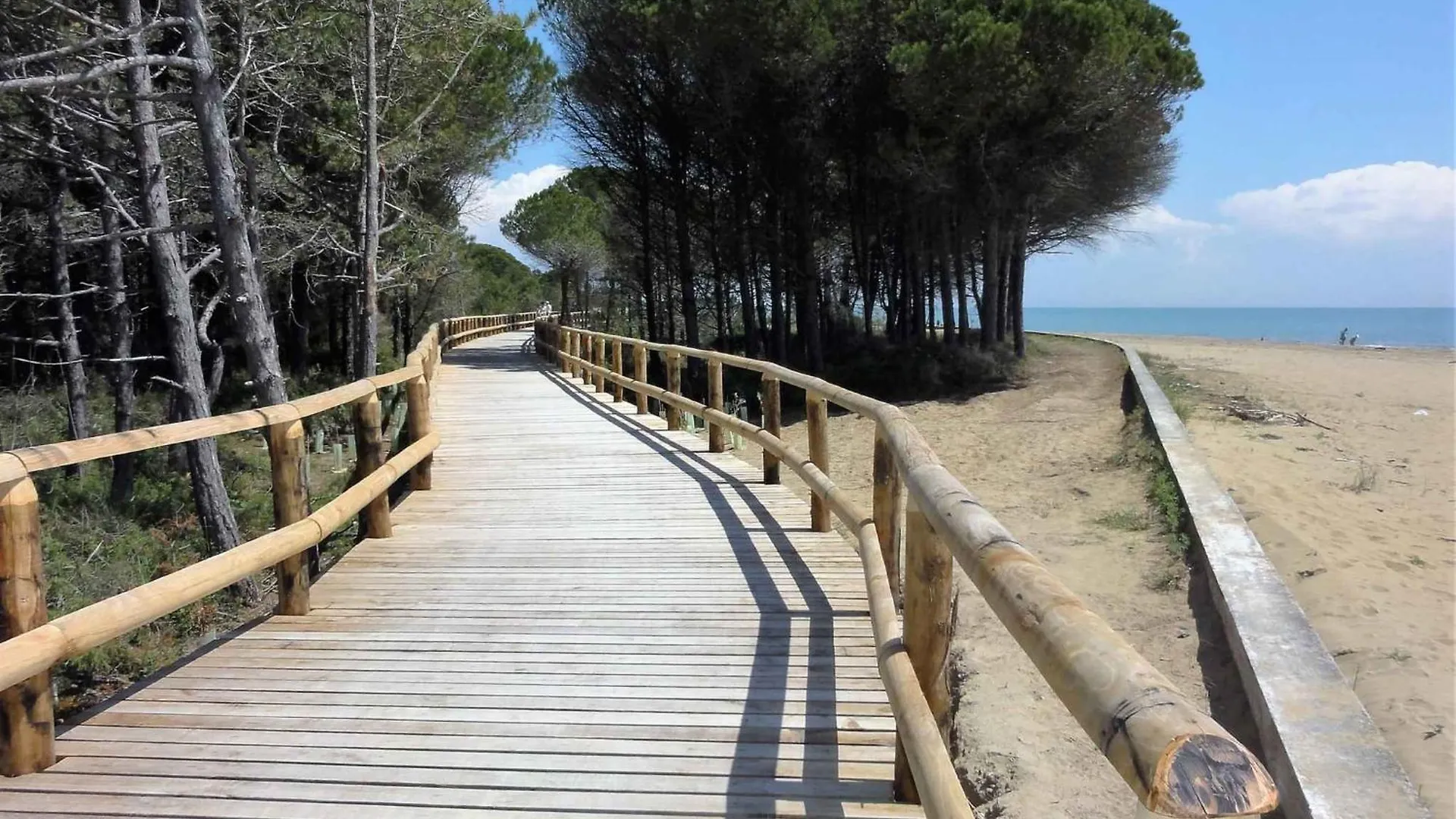 Apartment In Bibione 53641